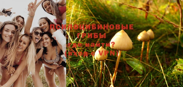 тгк Волоколамск