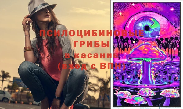 спиды Вязьма