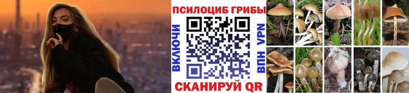 Псилоцибиновые грибы GOLDEN TEACHER  Чернушка 