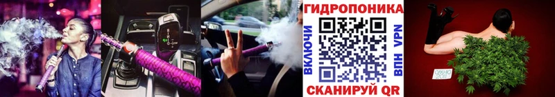 Бошки Шишки Amnesia  купить   Чернушка 